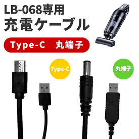 カークリーナーLB-068C専用 USB充電ケーブル