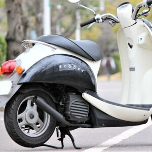 z_@NAXN[s[p}t[ dhunai BLACK Lu CWFNVʁ@fiC 50Ӂ@XN[s[ FI ϔMubN ЍHꐻ SECRETSPEED