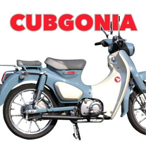 NEW z_ X[p[Ju C125p}t[ CUBGONIA ubN 50 ԂV[Y in}t[ V[NbgXs[h made in Japan@Ԃɂ