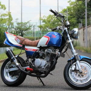 ORM z_ GCv50 100 LuԐp ubN×B}t[ ubNoCr[ GLpC ubN 50.8~ ЍHꐻ HONDA APE50 
