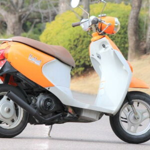 XYL bc4p 50Ӄ}t[ FEBRUA tFuA ϔMubN SECRETSPEED O2Lp SUZUKI }t[ ЍHꐻ