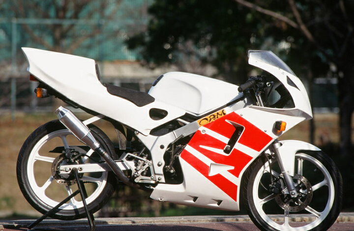 楽天市場】ORM製 ホンダ NS-1 片目耐久 ワイドナックル アッパーカウル 
