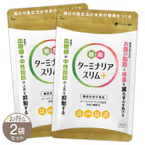 楽天市場】ターミナリアスリムの通販