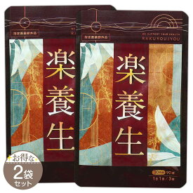 【 2袋セット 】 楽養生 90錠 ( 30日分 ) 養生仙薬研究所 サプリ サプリメント 歯周病薬 ［指定医薬部外品］ メール便送料無料SPL / 楽養生S07-02 / RKYUJU-02P