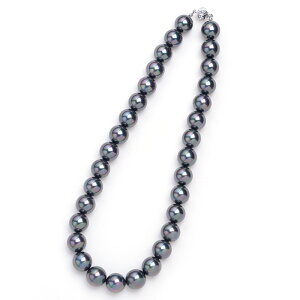 12mmԎmI[{Lp[lbNX ^q`n ^n Xdl ubNtH[}   ʖ ʎ