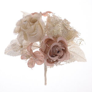 {ڂ݃ou[PRT[W KN [Y w  Ǝ   T Ӊ t \