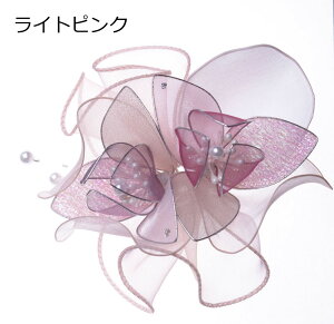 2ւ̃RT[W { w  Ǝ  tH[} yyΉzyz