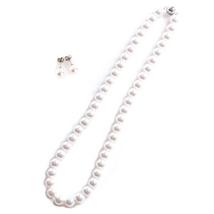 y[֑zXtXL[p[lbNX COorsAX2_Zbg 8mm zCgp[650 S40cm 45cm 47cm 16C` 17C` 18C` {×I[XgA