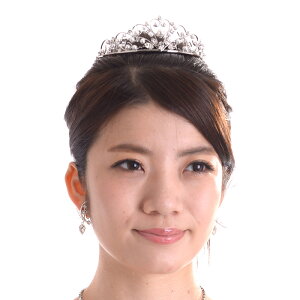 n[gp[eBA 677 { Y XtXL[ ԉ EFfBOhX uC_  p[eB[ 