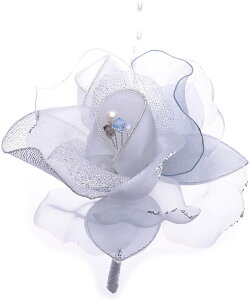 yyΉzyzsN~bNX2ւ̃RT[W { tH[} w  Ǝ   2 p[eB[