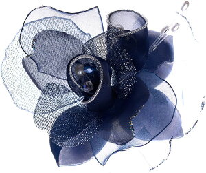 yyΉzyzsN~bNX2ւ̃RT[W { tH[} w  Ǝ   2 p[eB[