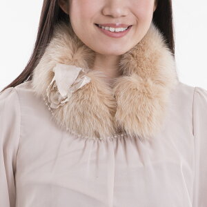 ԕisVh[tHbNXlbNJ[2018N蕟