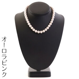 y[֑zԎ썂I[{Lp[lbNX { 10mm 16C` Xdl   ubNtH[} w Ǝ   akV[Y