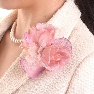 {RT[W I[KW[KNbV293 tH[}  w  Ǝ yyΉzyz