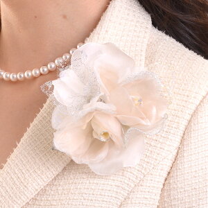 {RT[W I[KW[KNbV293 tH[}  w  Ǝ yyΉzyz