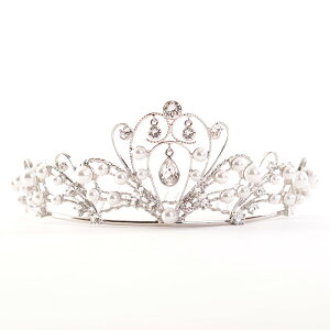 p[NX^eBA 469 { Y XtXL[ ԉ EFfBOhX uC_  p[eB[ 