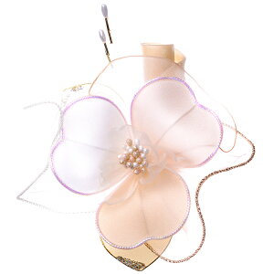 3̉ԂтRT[W tH[}  { w  Ǝ yyΉzyz