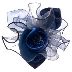 TeƃI[KW[̃RT[W { w  Ǝ  tH[} 