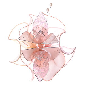 2ւ̃RT[W { w  Ǝ  tH[} yyΉzyz