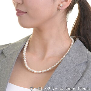 y[֑zԎ썂I[{Lp[lbNX { 7mm 17C` Xdl   ubNtH[} w Ǝ   akV[Y