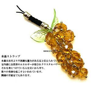 gуANZT[ L[z_[ LLJ^Xgbv uhE MPC-004