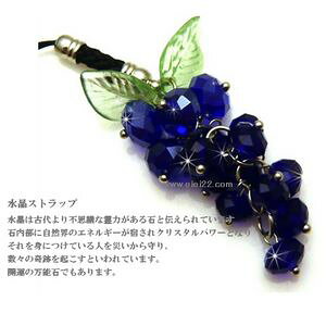 gуANZT[ L[z_[ LLJ^Xgbv uhE MPC-005