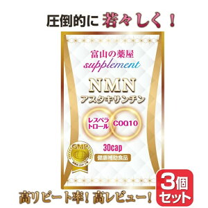 ���[���֑������� 3�Z�b�g NMN �j�R�`���A�~�h���m�k�N���I�`�h �Z�k�A�X�^�L�T���`�� ���X�x���g���[�� �ԃ��C���|���t�F�m�[�� COQ10 �R�G���U�C��Q10 FOFEVER �t�H�[�G�o�[ 11��r�^�~�� �T