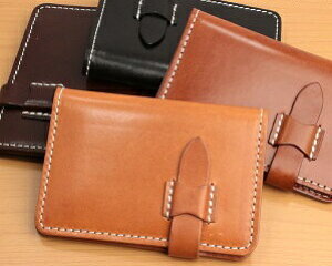 y{zȖ؃U[ T}[IC J[hP[X nhCh fB[X Y  j rWlX 蒠^ hP[X h ICJ[h ʋ ʊw  I[KjbNU[ {v 