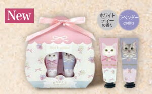 222nhN[ 2Zbg sN p[v  w nh PA   Ƃ  ˂ L ɂ  RpNg g e N 蕨 t hV̓ ̓ ̓ ސEj a