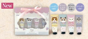 222nhN[ 4Zbg  w nh PA   Ƃ  ˂ L ɂ  RpNg g s e N j  蕨 t hV̓ ̓ ̓ ސEj a