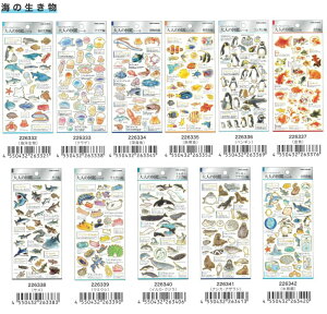 o  J~IWp l̐} V[ rWARNV  Hו hN C̐ ঒  p  y [ EY  L  i fR[V