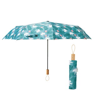 polku^|N ^[gh[uX ܂肽ݎP ܂肽ݎP Vv    j fB[X Y l q LbY ʋ ʊw  wZ o s ~J J 䕗 ֗ 