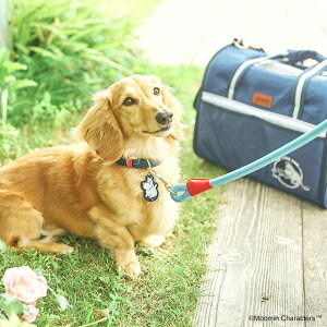 [h ybgp[h MOOMIN [~ [~₵ [h ЎłȒP  ybgp ^ g[c|[` UobO UObY U Vv  v[g Mtg 