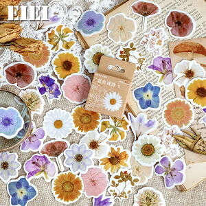 / t[  t[NV[ Be[Wx CXgXebJ[ m g WNW[i 蒠fR R[Wf fR[V re[W AeB[N 