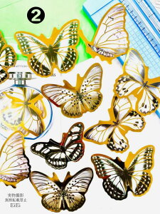 o COV[ 傫TCY   R[Wf NAV[ o^tC X 1010 t[NV[ PET  ϐ V[ WNW[i 蒠fR R[W f f