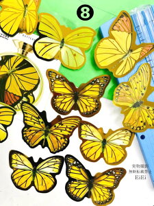 o COV[ 傫TCY   R[Wf NAV[ o^tC X 1010 t[NV[ PET  ϐ V[ WNW[i 蒠fR R[W f f