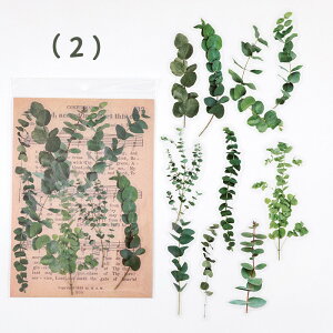 o NAV[ 傫  V[ [WTCY XebJ[ R[W f V[ PET ϐ COXebJ[ A ԕ t[ KN [Y t A hCt[ t 