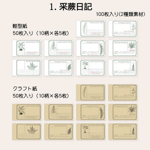 o CO fUCy[p[ 100/ ّf pbh CO R[W f e AeB[N fގ wi f y[p[ p A t[   m[g NVbN