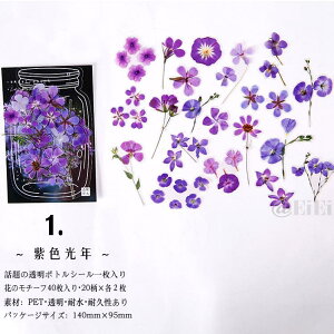 o {g r V[  t[NV[ KXr 蒠fR fR[V fRV[ R[Wf COXebJ[ COV[ V[ zCg PET r V[ {gV[ 