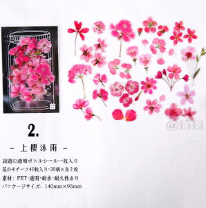 o {g r V[  t[NV[ KXr 蒠fR fR[V fRV[ R[Wf COXebJ[ COV[ V[ zCg PET r V[ {gV[ 