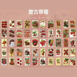  5050 R[Wf V[ t[NV[  C`S 䕃CXgXebJ[ 莆 g WNW[i R[Wf fR[V re[W Be[W A