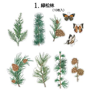 o NAV[ 傫 R[W f V[t[NV[ _CJbg ϐ V[ hCt[ 10 NA PET WNW[i fR[V COXebJ[  A