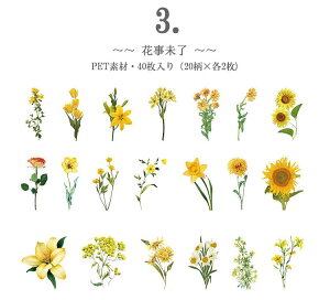 o NAV[ ԕ t[ 40 V[ COV[ t[NV[ PETV[ WNW[i 蒠fR R[W f fR[V fRV[ ϐ A t V_ 