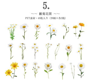 o NAV[ ԕ t[ 40 V[ COV[ t[NV[ PETV[ WNW[i 蒠fR R[W f fR[V fRV[ ϐ A t V_ 