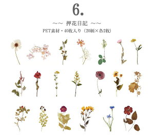 o NAV[ ԕ t[ 40 V[ COV[ t[NV[ PETV[ WNW[i 蒠fR R[W f fR[V fRV[ ϐ A t V_ 