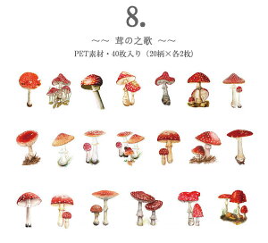 o NAV[ ԕ t[ 40 V[ COV[ t[NV[ PETV[ WNW[i 蒠fR R[W f fR[V fRV[ ϐ A t V_ 