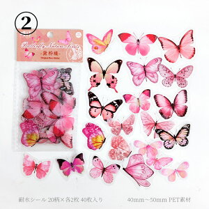 o NAV[  傫 PET ϐ  V[ 40 R[Wf  zI X o^tC COXebJ[  COV[ t[NV[ WNW[i R[