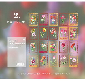 o V[ ؎ t[NV[ NAV[ R[W f  t[ z Ђ܂ AWTC `[bv COXebJ[ COV[ g 40 PETf WNW[i