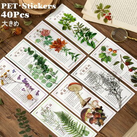 楽天市場 花 透明 シールの通販