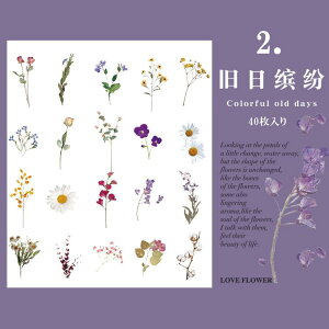 o NAV[ 傫 40 ϐ  V[ ԕ KN A t ʎ t[c   mg[ t[NV[ CXgV[ R[Wf  PET V[ W